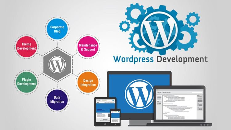 wordpress development,cms development,wordpress Integration,wordpress Hosting,custom wordpress development